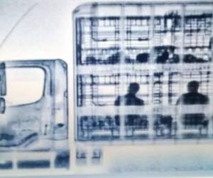 Con apoyo de un equipo de inspección no intrusivo de Rayos X, fuerzas federales detectaron que en el área de carga viajaban ocultas diversas personas. Foto Milenio.com