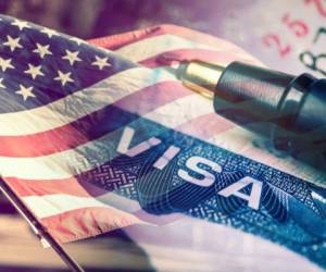 Las visas están ordenadas según el propósito de viaje.