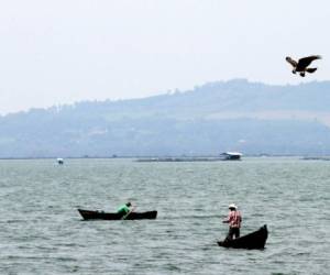 Una de las atracciones turísticas de el Lago de Yojoa es la oportunidad de navegar en una lancha para poder observar la biodiversidad del lugar.