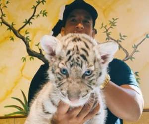 'Yo soy un tigre, por la edad no midas el calibre', fue el pie de foto que usó Yankee en esta postal. (Foto: Instagram)