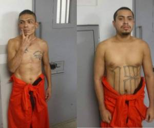 Estos dos pandilleros de la mara Salvatrucha y del Barrio 18 fueron llevados a la cárcel de El Pozo II.