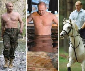 Además de ser abogado, Vladimir Putin, presidente de Rusia, disfruta mucho de una vida atlética. Es amante de la natación, artes marciales y las caminatas al aire libre.