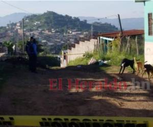 Hasta el momento, se desconocen más detalles de este crimen. Foto: Alex Pérez / EL HERALDO.