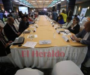 El Diálogo Nacional por la Educación se instaló ayer en un hotel capitalino, donde participaron autoridades educativas, gremios magisteriales, sindicatos, organizaciones, iglesias, entre otros sectores.