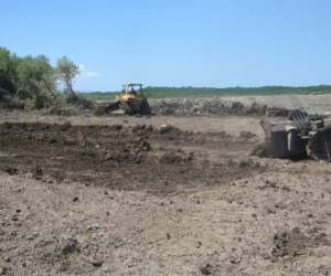 EL HERALDO cuenta con evidencias gráficas de la destrucción de manglares en Guapinol, Choluteca, para el cultivo de camarón. Foto El Heraldo.