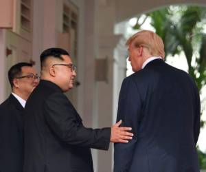 Kim Jong Un y Donald Trump a un compromiso muy vago en favor de la 'completa desnuclearización de la península coreana'. (AFP)