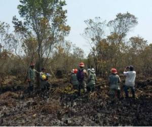 El incendio de cinco días consumio unas 412 hectáreas del área protegida.