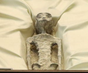 Los cuerpos, que se parecen a los humanos morfológicamente, aunque de color gris, fueron hallados en 2017 entre las localidades peruanas de Palpa y Nazca.