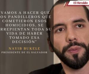 El mandatario de El Salvador, Nayib Bukele, ha sido criticado por unos y aplaudido por otros, luego de declararle abiertamente la guerra a las maras y pandillas tras el repunte de homicidios reportado hace algunos días en el país centroamericano. Aquí algunas de sus frases más controversiales.