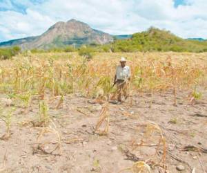 El intervalo de tiempo donde hay ausencia de lluvias en el territorio nacional por lo general se presenta entre el 15 de julio y el 15 de agosto.