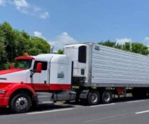 Las detenciones se llevaron a cabo el sábado en una carretera del estado de Veracruz cuando los migrantes eran trasladados ocultos en cuatro tráileres, informó el Instituto Nacional de Migración en un comunicado. Foto: Cortesía Televisa.