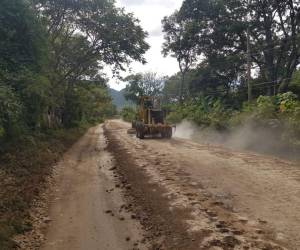 Máquinas trabajan en la reparación y mantenimiento de la calle que de Araulí conduce a Linaca en Danlí.