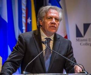 El secretario general de la OEA, Luis Almagro, denunció en su cuenta de la red Twitter que la Asamblea Nacional de Nicaragua había cancelado la personalidad jurídica de ONGs como el Centro Nicaragüense de Derechos Humanos (CENIDH) y Hagamos Democracia. Foto OEA