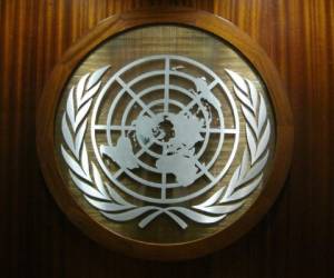Los miembros de la ONU indicaron que realizarán las investigaciones. Foto: Agencia AFP
