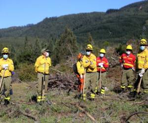 En esta fotografía distribuida por ATON CHILE se muestra a los miembros del equipo de rescate mientras trabajan en el área donde desapareció el niño Tomás Bravo de tres años, en la zona rural de Caripilun, Chile. Foto: Agencia AFP.