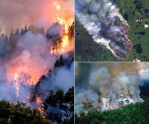 Bomberos combaten las llamas a un costado de un camino en el Bosque Nacional Jacunda, cerca de la ciudad de Porto Velho, en la región de Vila Nova que pertenece a la Amazonia Brasileña, el lunes 26 de agosto de 2019. (AP Foto/Eraldo Peres)