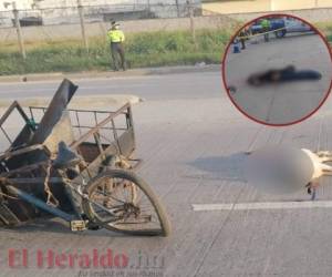 La víctima murió de manera inmediata a causa de las lesiones principalmente en su cabeza, mientras que el can quedó muerto aún atado a la bicicleta destrozada.