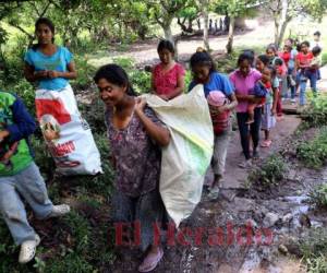 Las tolupanes intentan conseguir algunos ingresos con la venta de canastas, sombreros y collares elaborados a mano a partir de carrizos o uyaste. Los precios varían según el tamaño de la artesanía. Foto: Johny Magallanes/El Heraldo