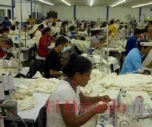 De cada 100 empleos generados en la industria manufacturera que opera en Honduras, la maquila absorbe 34 plazas. Foto: El Heraldo