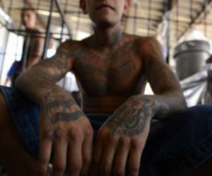 Hace una década que la pandilla Mara Salvatrucha, o MS-13, nacida entre inmigrantes salvadoreños en las calles de Los Ángeles en los '80 y exportada luego a Centroamérica, aterroriza a Brentwood. Foto: AFP