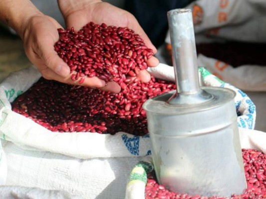 El frijol rojo es el de mayor demanda en la capital.