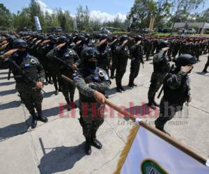 El Estado Mayor Conjunto de las Fuerzas Armadas (FF AA) estará al mando del Programa de Desarrollo Agrícola.