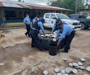 Fueron un total de 564 paquetes de marihuana los decomisados.