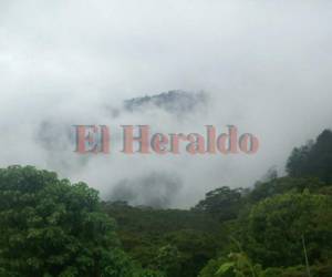 Una imagen de la montaña de la Reserva Biológica Yerba Buena. Foto: El Heraldo.