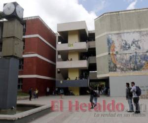 En el primer periodo académico de 2020, la población estudiantil deberá elegir a sus representantes.