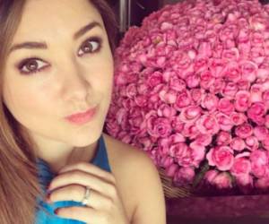 Sherlyn presume el anillo que le regaló su novio Francisco Zea. Foto Instagram