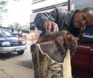 Las personas que pasaban por el lugar revisaban a los roederes para saber si seguían vivos. Foto: Estalin Irías/ EL HERALDO