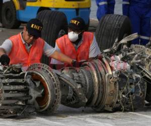 Lion Air ha dicho que reparó un problema técnico del jet después del vuelo de Bali a Yakarta.