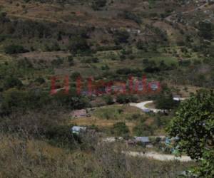 En un predio de 20 hectáreas ubicado en la colonia Miramesí se pretende construir la nueva planta de tratamiento. Fotos: Alex Pérez/EL HERALDO