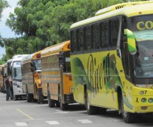 El transporte público sufrirá un cambio en el sistema para lograr su depuración.