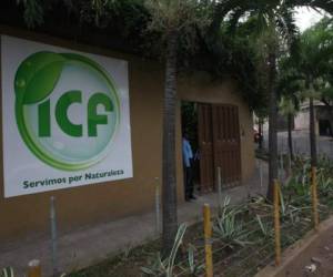 Las autoridades del ICF ya denunciaron a las autoridades el desfalco en las finanzas de la institución