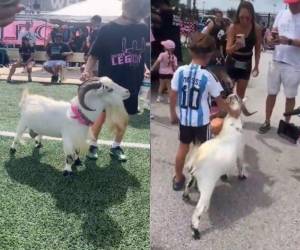 La cabra llegó identificada con los colores del Inter Miami e ingresó al DRV PNK Stadium de Fort Lauderdale, donde se llevará a cabo la presentación de Lionel Messi.