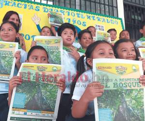 Los niños de las escuelas de cada edición del programa desarrollan jornadas de reforestación y conocen los beneficios que dan los árboles al ambiente.