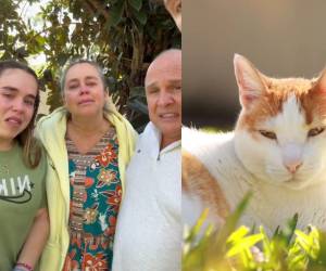 Los Chicaneros de Colombia se despidieron de Aurelio, un gatito que adoptaron en Honduras.