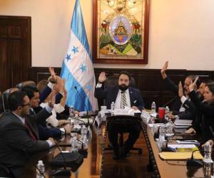 Luis Redondo pidió a los diputados permanecer en Tegucigalpa a la espera de la sesión de la comisión permanente.