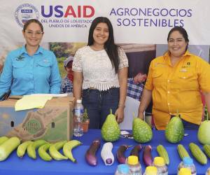 <i>Jóvenes emprendedores del sector agrícola presentan sus innovadoras creaciones en la Agroferia 2024, con el respaldo de Agronegocios Sostenibles.</i>