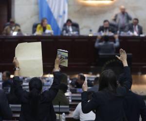 Con la Constitución en la mano y una pancarta en la otra, las diputadas pedían la palabra.