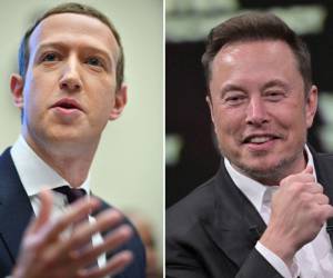 El combate de artes marciales mixtas (MMA) entre Mark Zuckerberg, cabeza de Facebook, y Elon Musk, dueño de X (como ahora se denomina Twitter) está programado para este 26 de agosto.