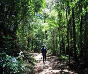 La conservación de la biodiversidad es uno de los grandes desafíos que enfrenta Honduras.