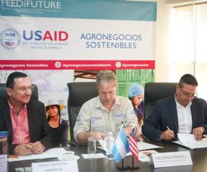 <i>Un nuevo horizonte para el café hondureño: La alianza entre USAID a través de su proyecto Agronegocios Sostenibles y el IHCAFE marca el comienzo de una era de prosperidad y reconocimiento internacional.</i>
