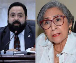 Maribel Espinoza aseguró que el titular del Congreso Nacional está incurriendo en acción penal por no convocar a sesión ordinaria.