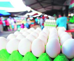 El cartón de huevos de tamaño mediano, que es el más consumido en Honduras, reflejó un aumento de hasta 13 lempiras.