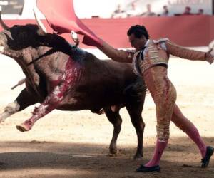 El matador español Ivan Fandino es empalado por un Baltasar Iban durante una corrida en la Corrida des Fetes.
