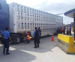 El dinero era trasportado de manera clandestina en este vehículo. (Foto: El Heraldo Honduras/ Noticias Honduras hoy)