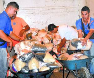 Personal de Copeco entrega ayuda alimentaria a las personas damnificadas.