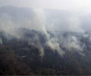El cerro Canta Gallo, ubicado en el Distrito Central se encuentra activo un incendio de grandes proporciones que ha causado daños en cuantiosas hectáreas de bosque.